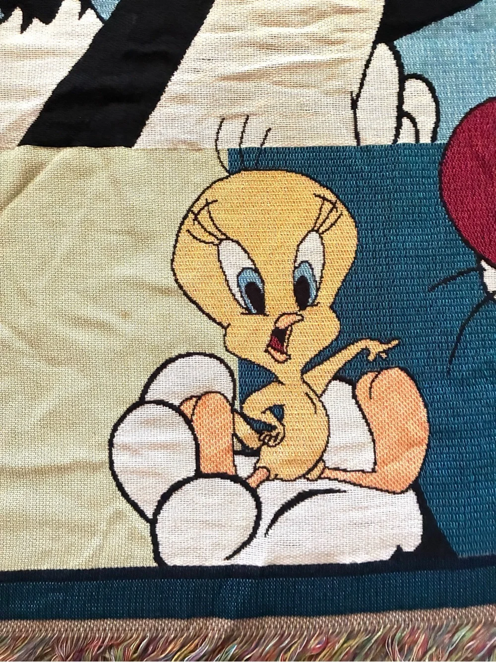 Vintage 1999 Warner Bros Official Merch Sylvester Tweety Throw 48x60